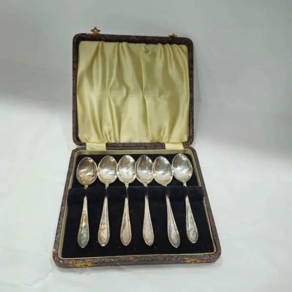 Vintage EPNS spoon set with case